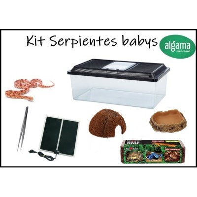 Kit para serpientes pequeñas (Babys)